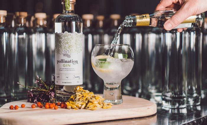 Dyfi Pollination Gin